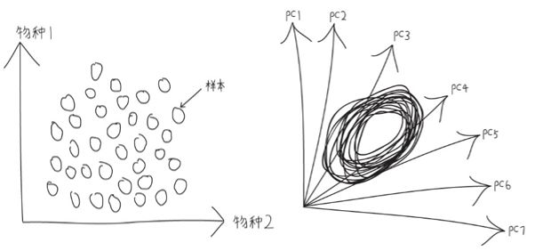 三文读懂PCA和PCoA（二）