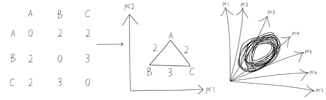 三文读懂PCA和PCoA（二）