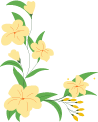 ͼƬ