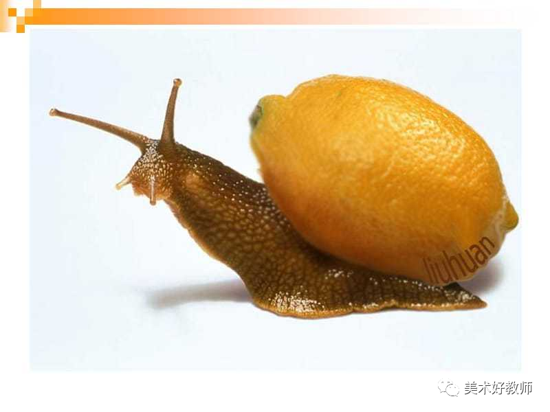 《图形创意设计》优秀教案教案