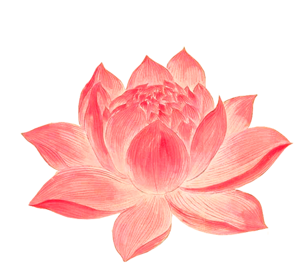 【连载·大汉风云·2·第十一章】放  纵（下）