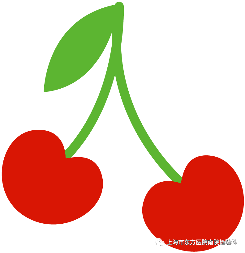 红细胞滤器怎么用血液“滤白”，您了解吗？_https://www.jmylbn.com_新闻资讯_第1张