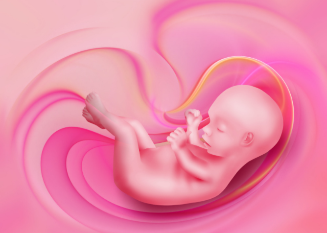 为什么剪脐带要先夹住“咔嚓”一刀剪掉脐带，宝宝会疼吗？_https://www.jmylbn.com_新闻资讯_第2张