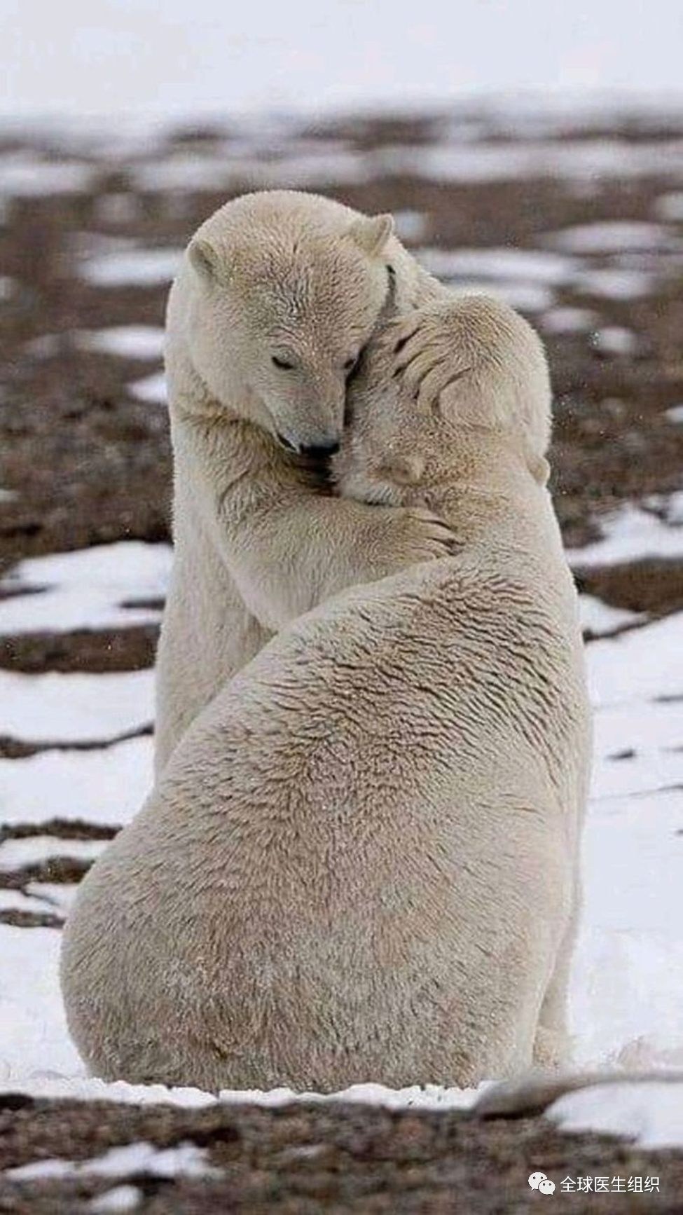 什么是数字医疗｜观点｜数字健康是大健康、大科学；是主动健康干预_https://www.jmylbn.com_新闻资讯_第12张