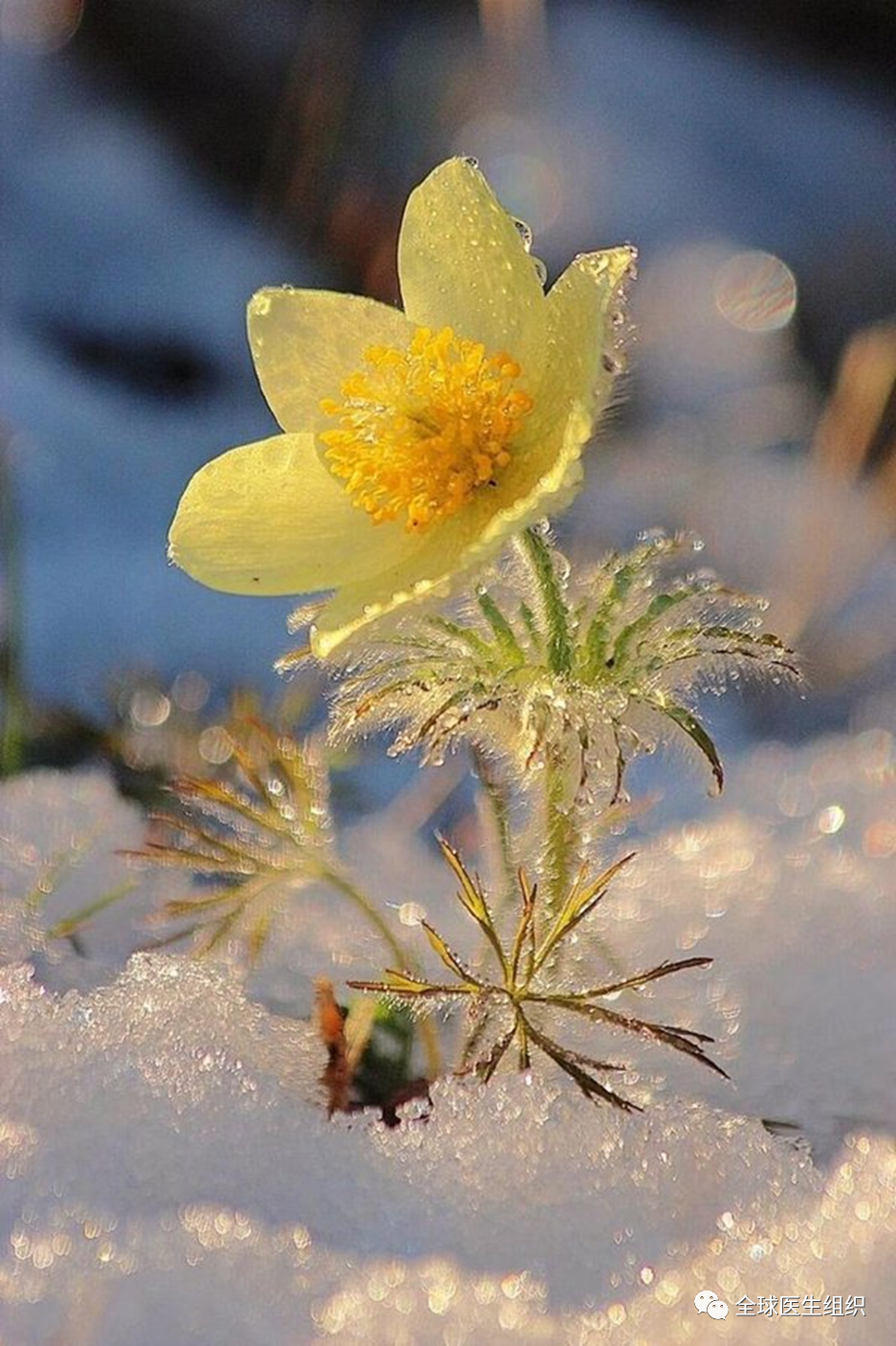 什么是数字医疗｜观点｜数字健康是大健康、大科学；是主动健康干预_https://www.jmylbn.com_新闻资讯_第11张