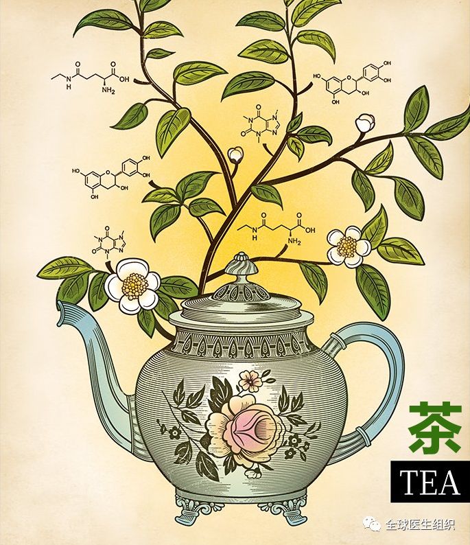 除白開水, 茶是世界上最受歡迎的飲料, 也是最神秘的藥！ 健康 第1張