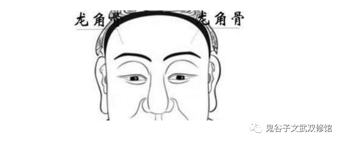 拥有龙角骨和伏羲骨的人 乃大富大贵之相 鬼谷子文武双修馆 微信公众号文章阅读 Wemp