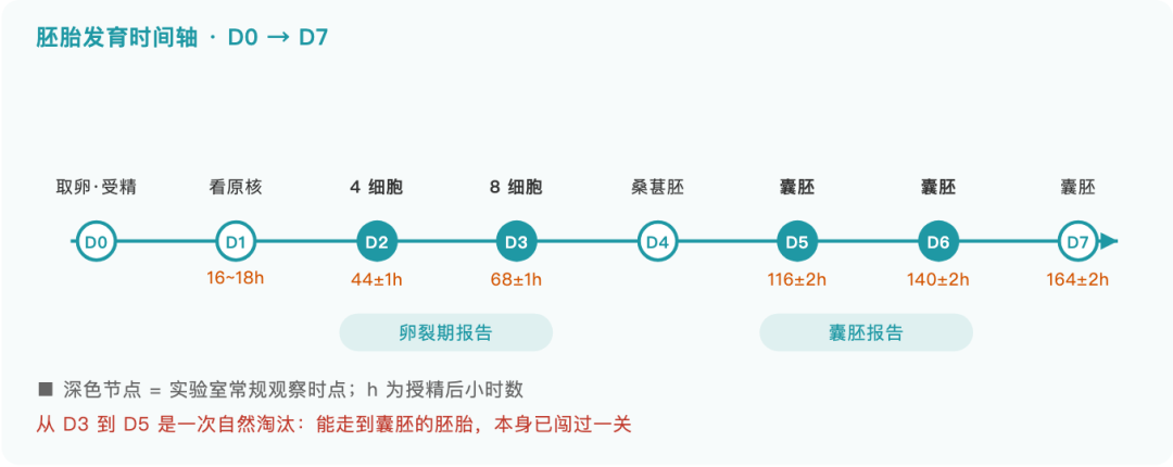 图解 1