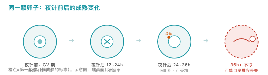 图解 2