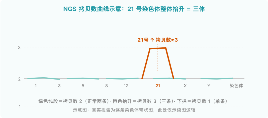 图解 5