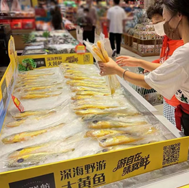 欧赛斯2022年创意年报│视觉就是可以战胜所有竞争对手的表现力-广告人干货库