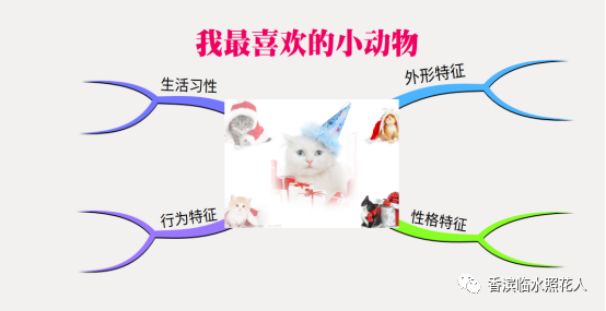 思维导图“画”作文——五年级“我的心爱之物”】谭奥《鹦鹉》(二十五) 思维导图“画”作文——五年级“我的心爱之物”】谭奥《鹦鹉》(二十五)