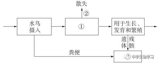2023高考理综生物试题及答案新课标Ⅱ卷