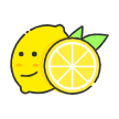 北京柠檬星信息科技有限公司