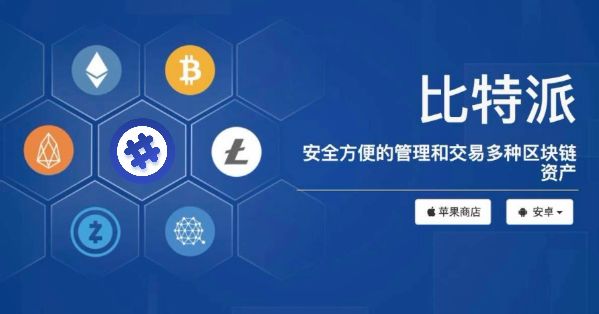 如何安全下载比特派钱包app，保护你的数字资产安全_比特派硬件钱包怎么用安全_比特派钱包安全性