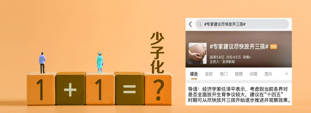 任澤平經濟預測