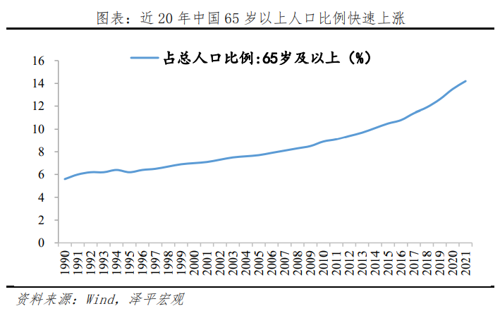 老龄化研究报告2022 ic智库