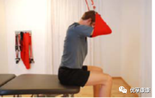 悬吊训练系统 怎么装悬吊技术的历史、使用和临床运用，附上肢、躯干和下肢悬吊训练方法_https://www.jmylbn.com_新闻资讯_第65张