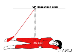 悬吊训练系统 怎么装悬吊技术的历史、使用和临床运用，附上肢、躯干和下肢悬吊训练方法_https://www.jmylbn.com_新闻资讯_第22张