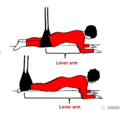 悬吊训练系统 怎么装悬吊技术的历史、使用和临床运用，附上肢、躯干和下肢悬吊训练方法_https://www.jmylbn.com_新闻资讯_第32张