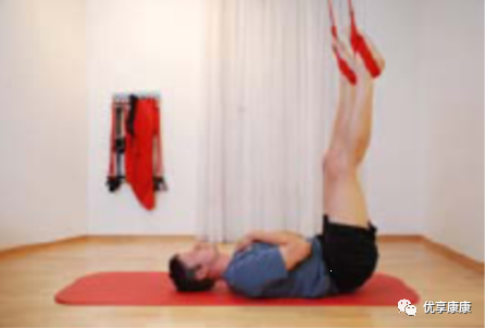 悬吊训练系统 怎么装悬吊技术的历史、使用和临床运用，附上肢、躯干和下肢悬吊训练方法_https://www.jmylbn.com_新闻资讯_第67张