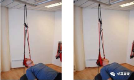悬吊训练系统 怎么装悬吊技术的历史、使用和临床运用，附上肢、躯干和下肢悬吊训练方法_https://www.jmylbn.com_新闻资讯_第59张