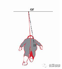 悬吊训练系统 怎么装悬吊技术的历史、使用和临床运用，附上肢、躯干和下肢悬吊训练方法_https://www.jmylbn.com_新闻资讯_第26张