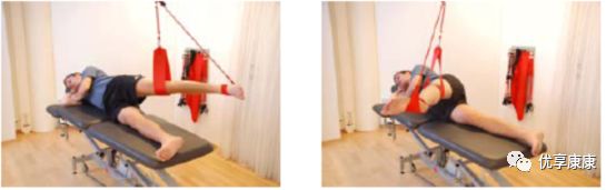 悬吊训练系统 怎么装悬吊技术的历史、使用和临床运用，附上肢、躯干和下肢悬吊训练方法_https://www.jmylbn.com_新闻资讯_第70张