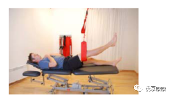 悬吊训练系统 怎么装悬吊技术的历史、使用和临床运用，附上肢、躯干和下肢悬吊训练方法_https://www.jmylbn.com_新闻资讯_第71张