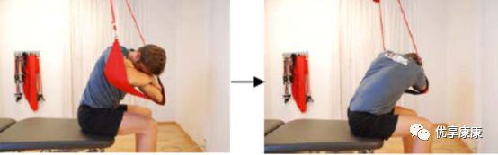 悬吊训练系统 怎么装悬吊技术的历史、使用和临床运用，附上肢、躯干和下肢悬吊训练方法_https://www.jmylbn.com_新闻资讯_第66张