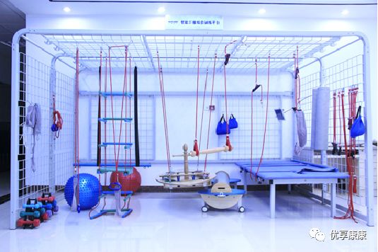 悬吊训练系统 怎么装悬吊技术的历史、使用和临床运用，附上肢、躯干和下肢悬吊训练方法_https://www.jmylbn.com_新闻资讯_第11张