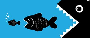 总金额约500亿美元，AMD完成对赛灵思的收购