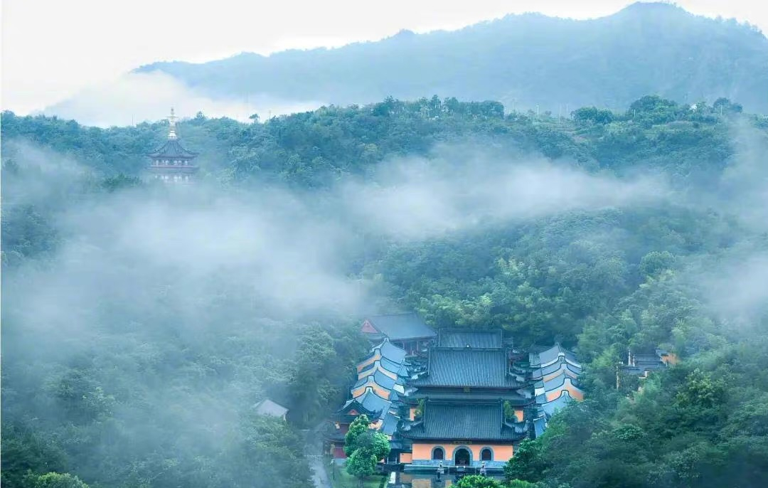 斥资打造山谷神仙树屋！270°躺看山峦云海，玩水溯溪过清凉夏天，家门口神仙度假地！