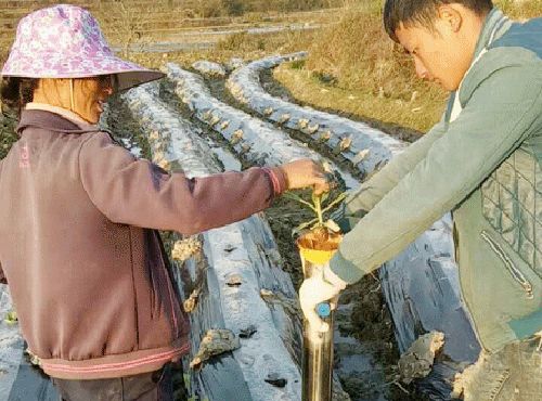 环保办厂创业好项目_新兴环保创业项目_环保农村创业项目