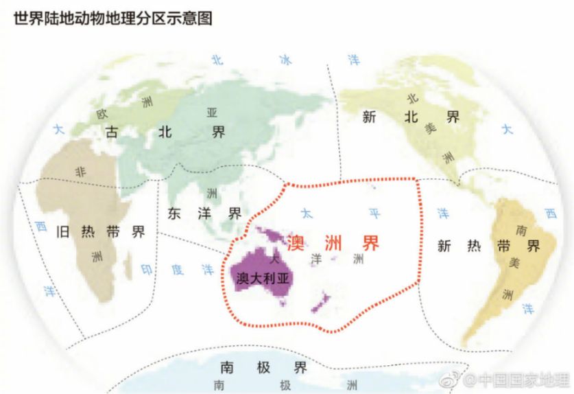 趣味地理 世界陆地动物地理分区 世界地理 微信公众号文章阅读 Wemp