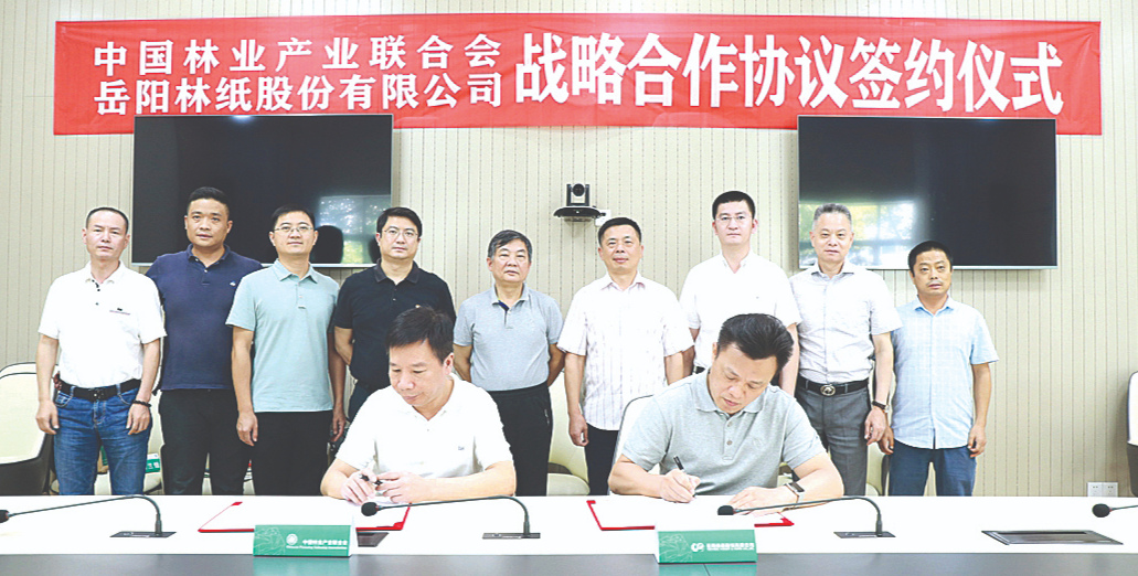 岳阳林纸双百行动强健机体活力赓续红色基因