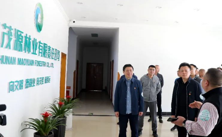 岳阳林纸碳路先锋价值成林