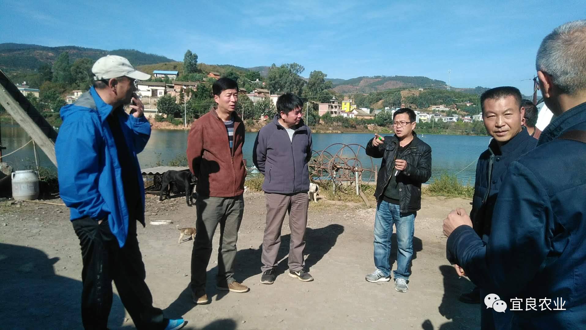 昆明市渔业行政执法局对宜良县省级渔业项目进行检查验收