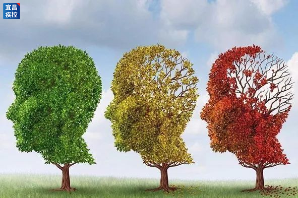 怎么看护瘫痪老人阿尔兹海默病（老年痴呆）有哪些表现？如何看护患者？_https://www.jmylbn.com_新闻资讯_第1张