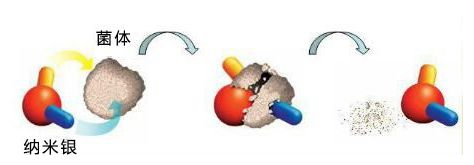 单质银为什么能抗菌涨知识了，银的作用竟然这么大！！！_https://www.jmylbn.com_新闻资讯_第9张