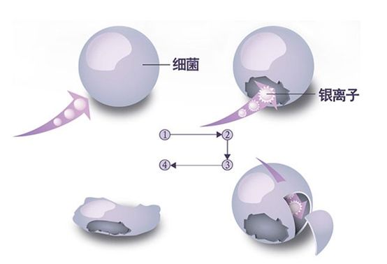 单质银为什么能抗菌涨知识了，银的作用竟然这么大！！！_https://www.jmylbn.com_新闻资讯_第7张