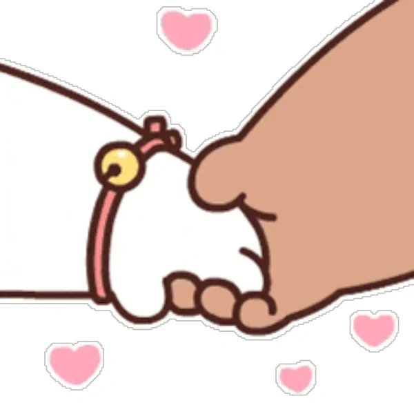 留置针怎么使用小儿科留置针使用手册_https://www.jmylbn.com_新闻资讯_第7张