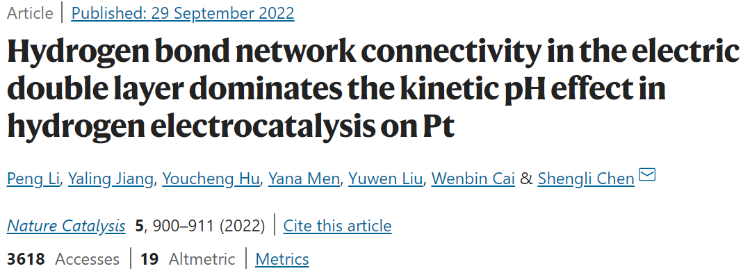 Hydrogen bond network connectivity in the electric double layer