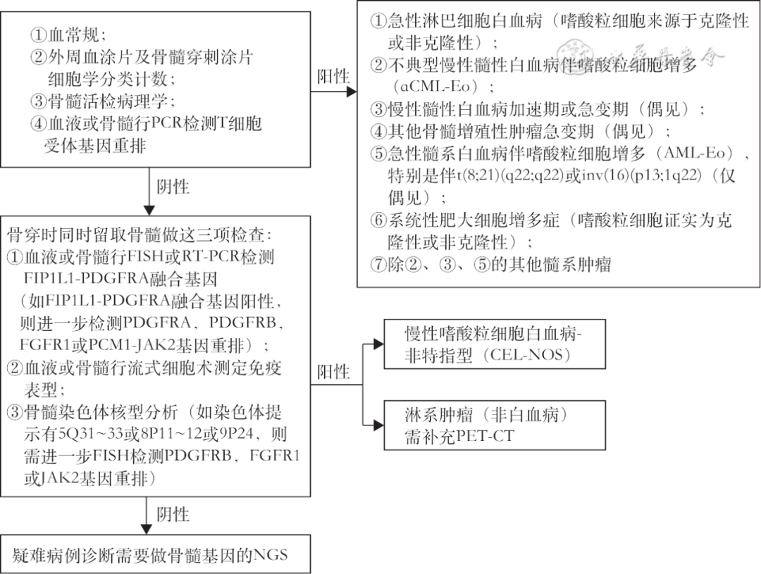 abp在医学是什么意思嗜酸粒细胞增多相关性肺疾病诊疗中国专家共识_https://www.jmylbn.com_新闻资讯_第9张
