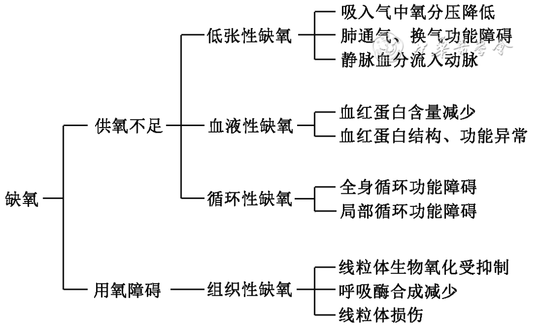 家庭吸氧怎么洗中国成人呼吸系统疾病家庭氧疗指南（2024年）_https://www.jmylbn.com_新闻资讯_第4张