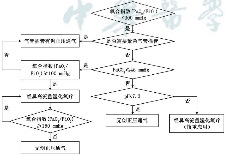 为什么用高流量呼吸【指南速览】成人经鼻高流量湿化氧疗临床规范应用专家共识_https://www.jmylbn.com_新闻资讯_第7张