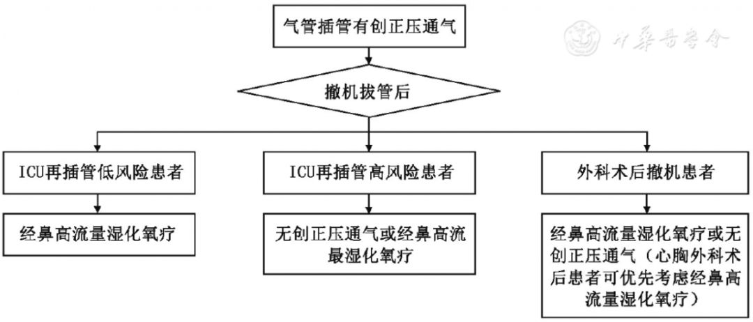 为什么用高流量呼吸【指南速览】成人经鼻高流量湿化氧疗临床规范应用专家共识_https://www.jmylbn.com_新闻资讯_第8张