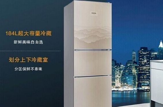 中国电冰箱品牌排行榜_电冰箱十大名牌排行榜2021_电冰箱品牌排行榜前十/