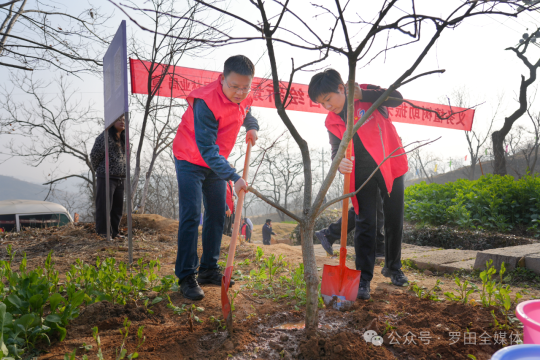 罗田县举行2026年义务植树活动