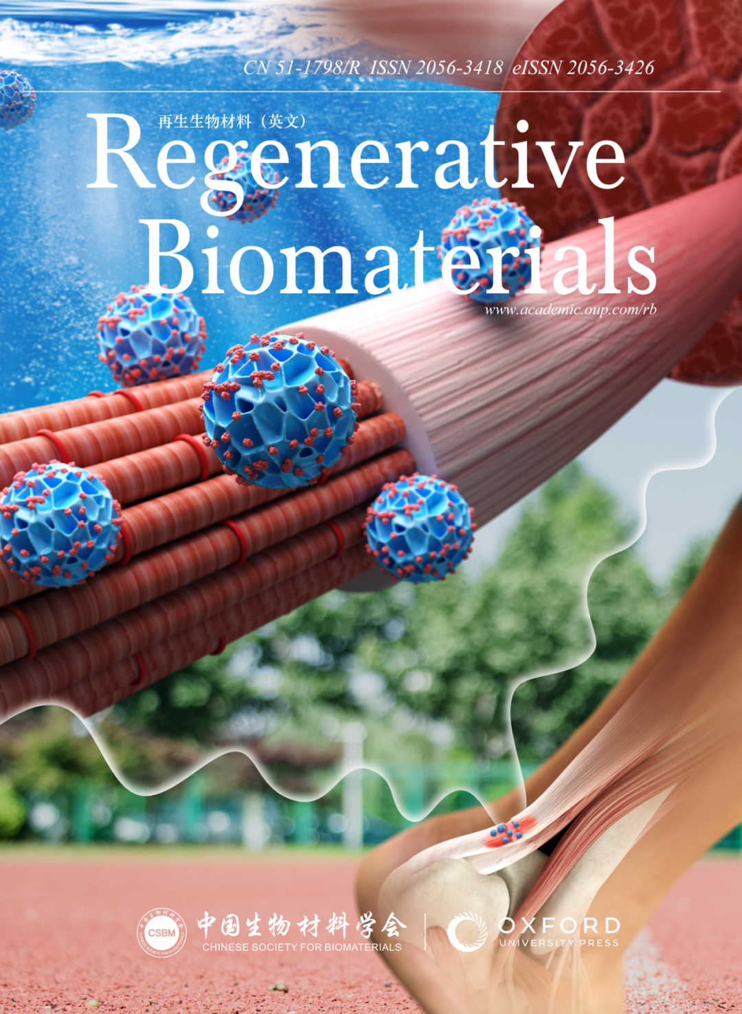 医用抗菌水凝胶怎么用RB 速递 ｜ 四川大学魏清荣副研究员团队：基于胶原蛋白的可注射自修复多功能水凝胶在感染性伤口再生修复中的应用_https://www.jmylbn.com_新闻资讯_第9张